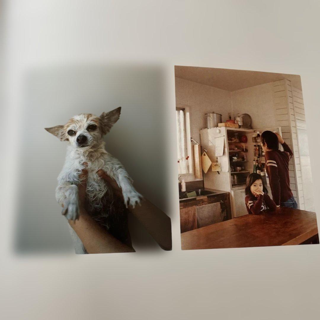 『ホンマタカシ　ニュー・ドキュメンタリー』展図録➕フライヤー＆パンフレット2部