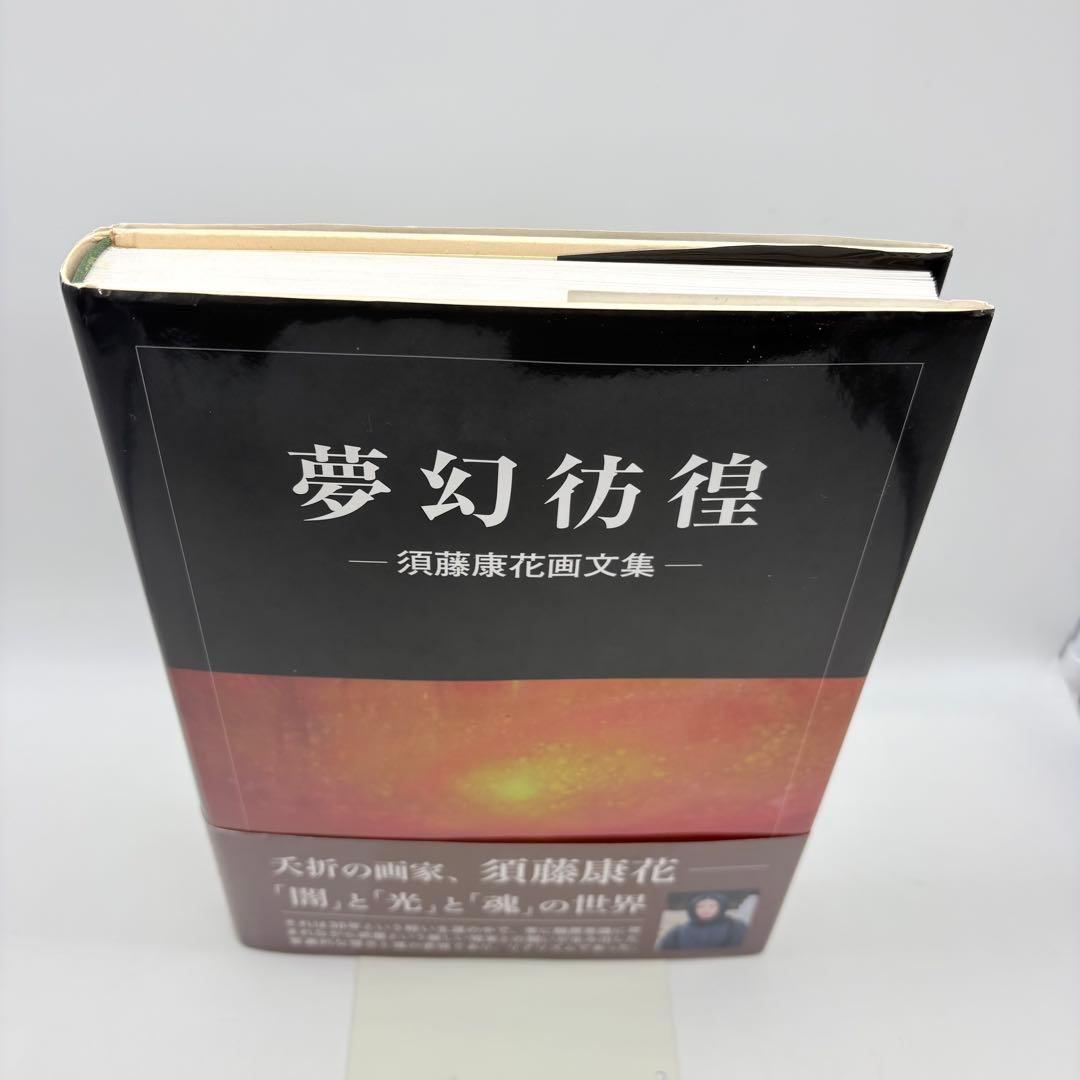 夢幻彷徨 須藤康花 画文集 2011年初版 東京図書出版 希少 絶版本