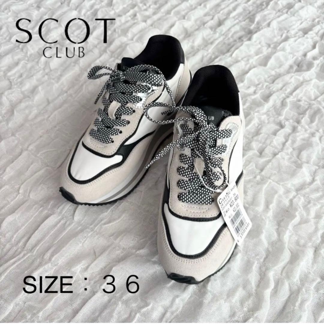 【新品未使用】 スコットクラブ ウェッジソールスニーカー 現行モデル 厚底