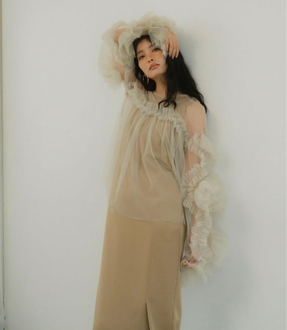 ANDRESD Sサイズ　ベージュ　カッティングカーブドレス、チュールトップス