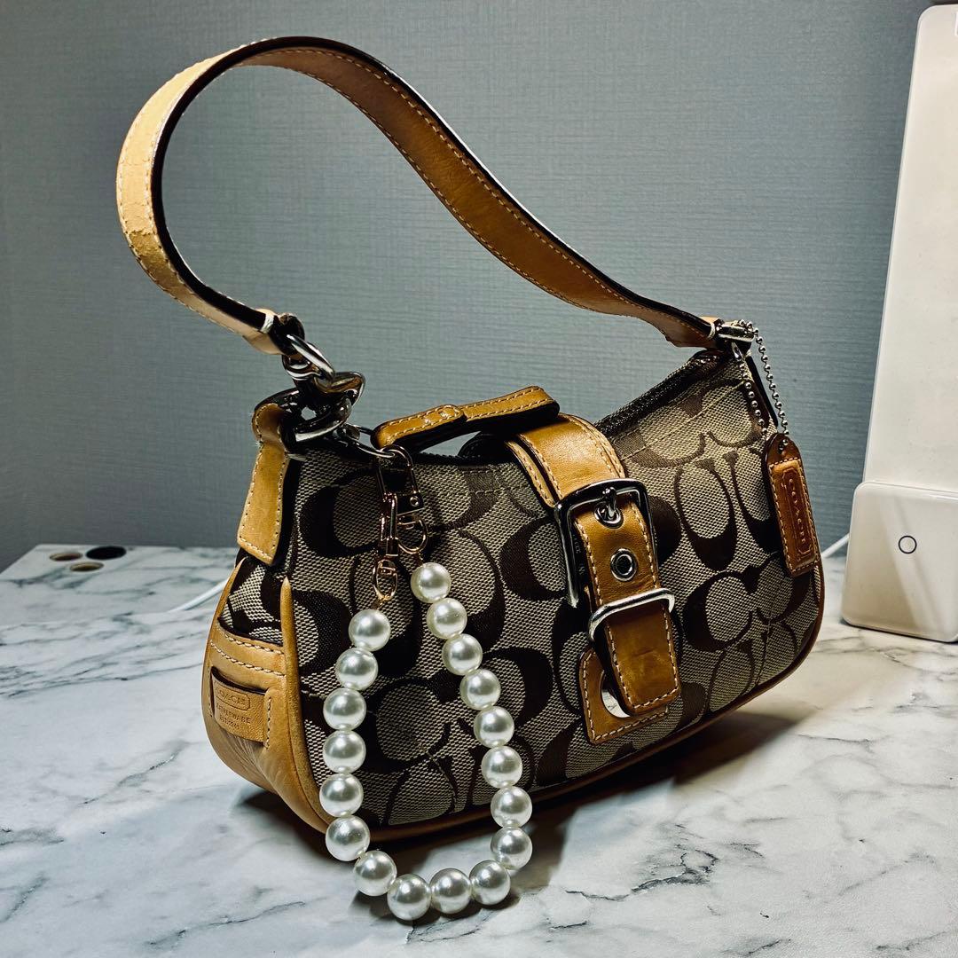 バッグ Coach Soho Signature Accessory Poach y2k