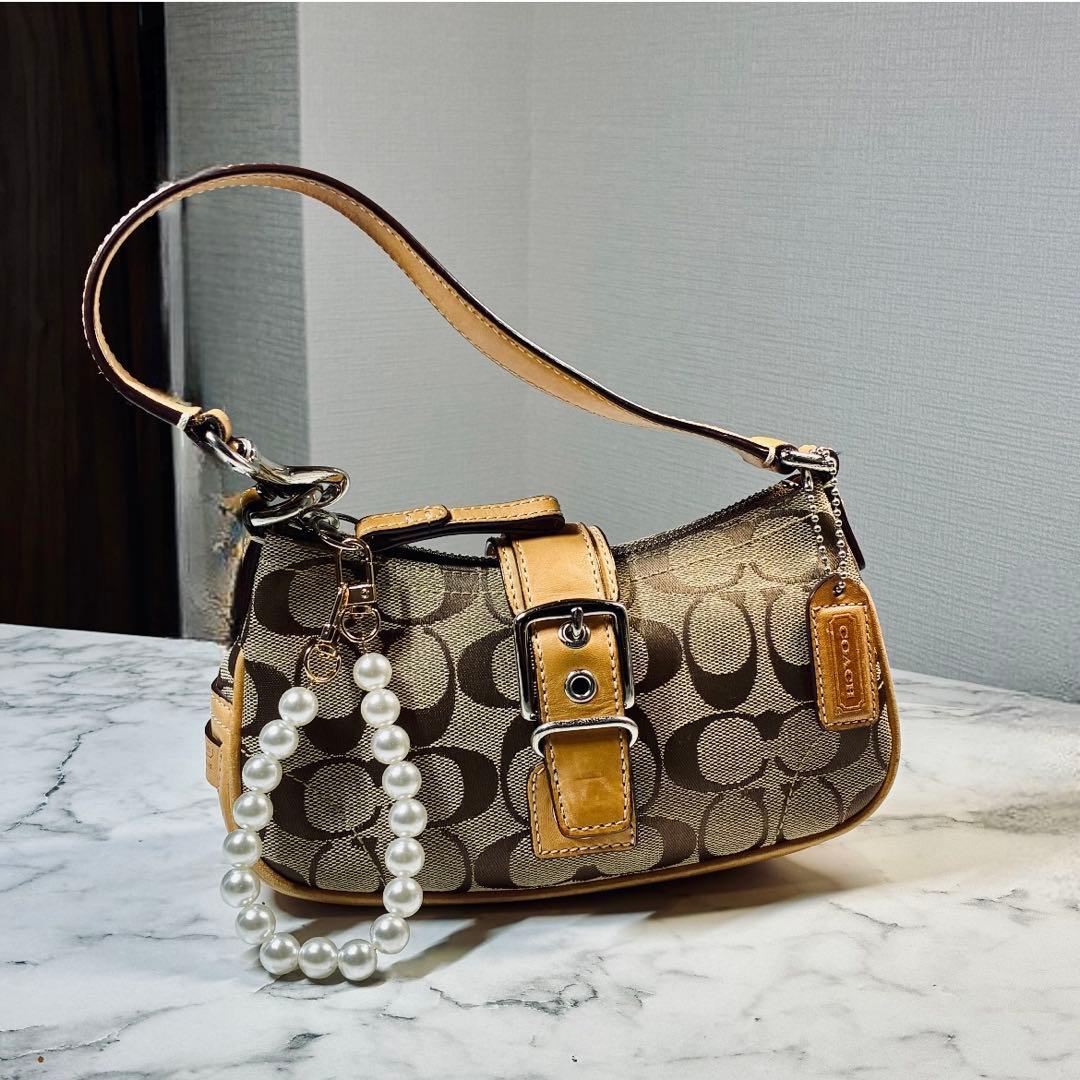 バッグ Coach Soho Signature Accessory Poach y2k