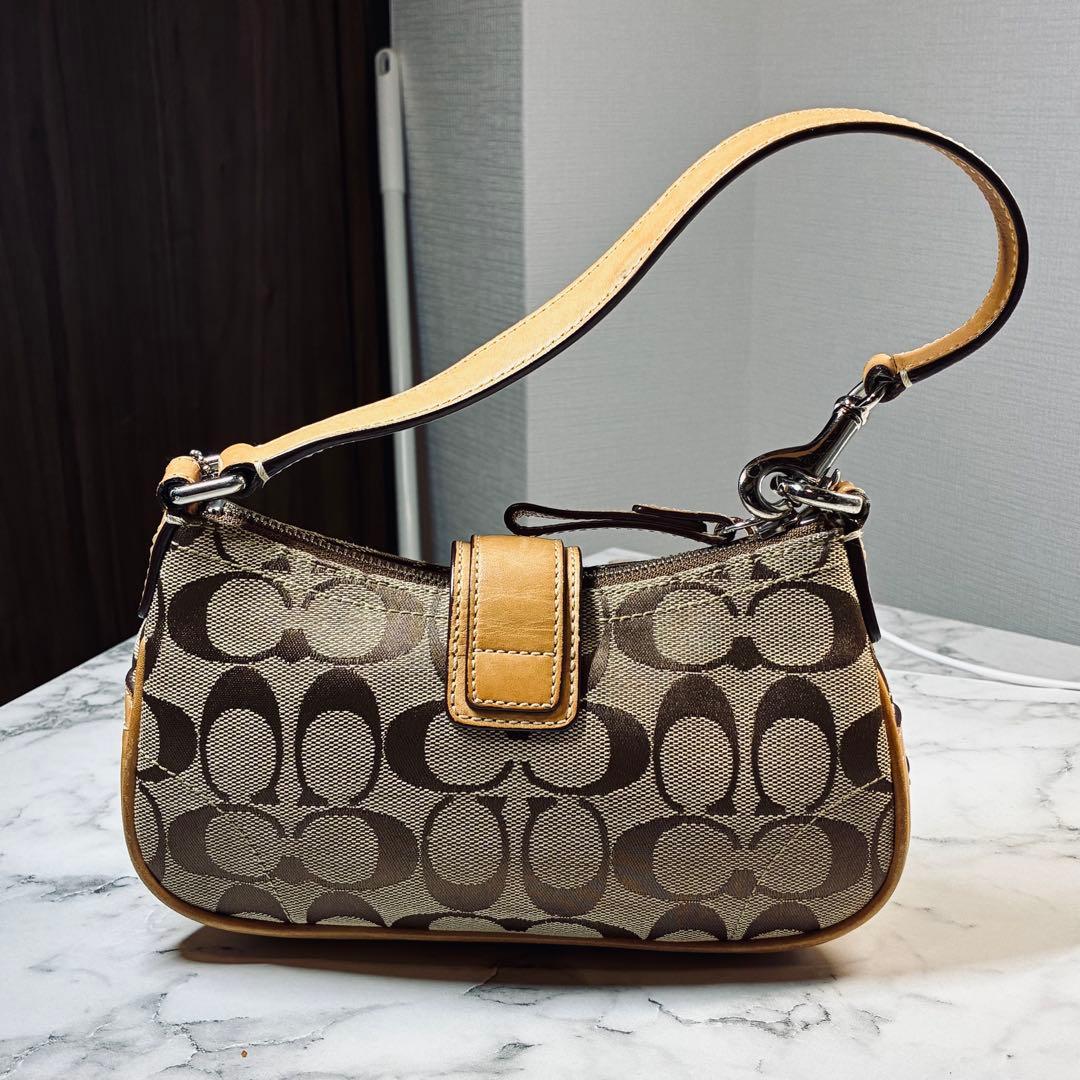 バッグ Coach Soho Signature Accessory Poach y2k