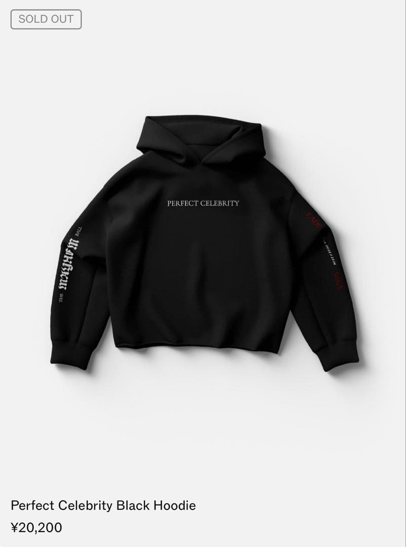 (残り1個)新品レディーガガ VIPGOLDHOODIE 黒 M〜最安値〜