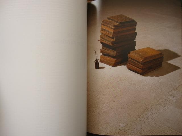 アート・デザイン・音楽 Joseph Beuys: Arena Where Would I Have