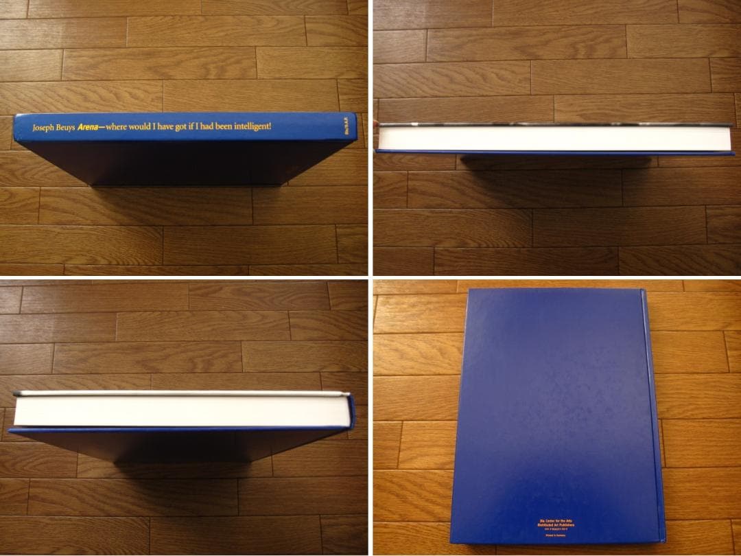 アート・デザイン・音楽 Joseph Beuys: Arena Where Would I Have