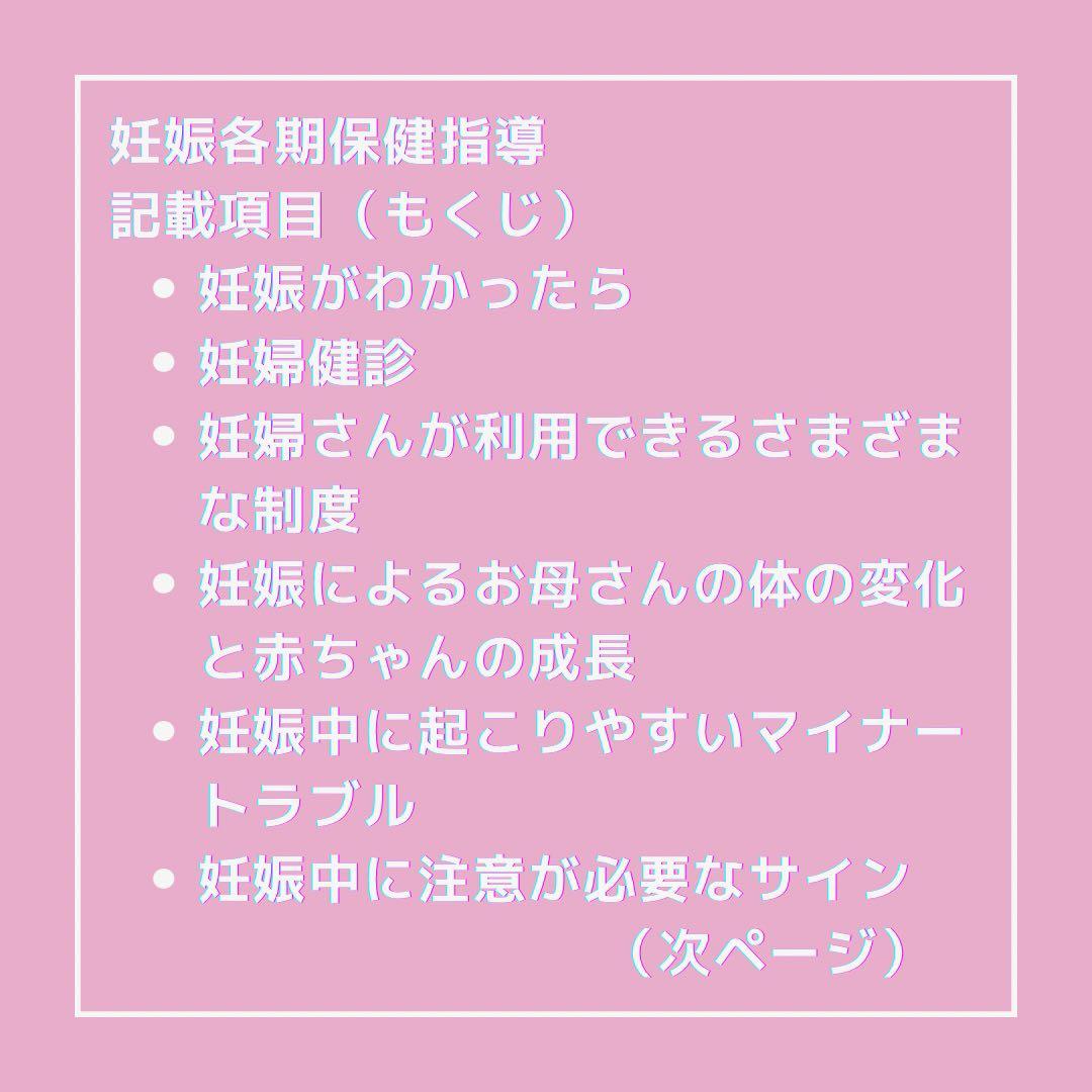 ❤️助産❤️［全部セット］保健指導パンフレット（媒体）&指導計画書　USBデータ