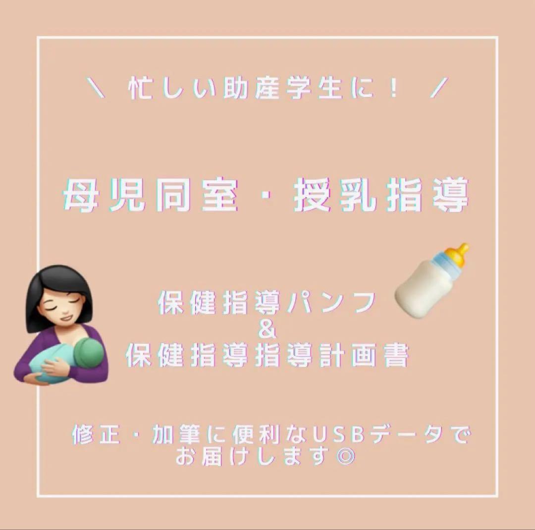 ❤️助産❤️［全部セット］保健指導パンフレット（媒体）&指導計画書　USBデータ