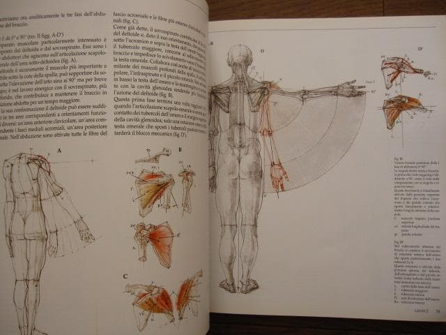 アート・デザイン・音楽 Struttura uomo in movimento