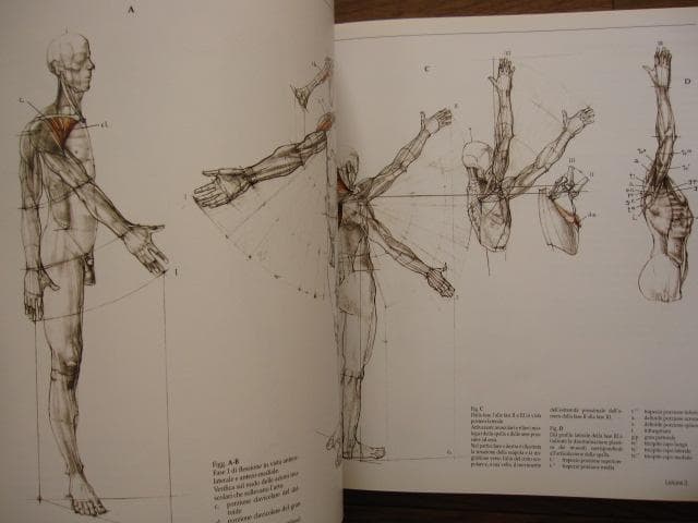 アート・デザイン・音楽 Struttura uomo in movimento