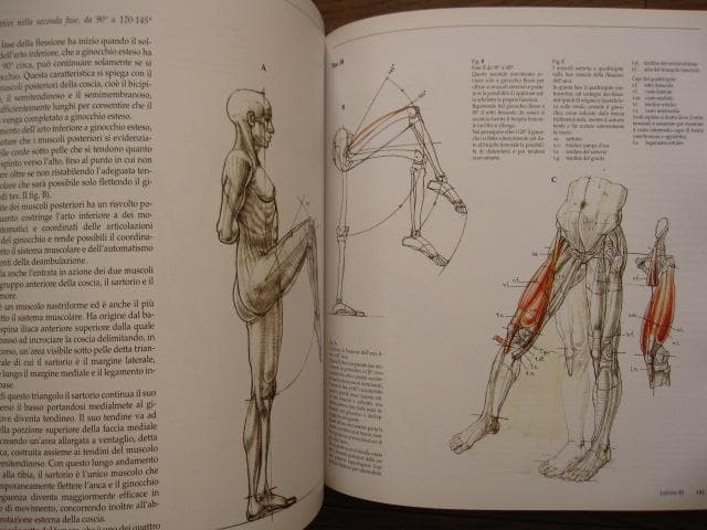 アート・デザイン・音楽 Struttura uomo in movimento
