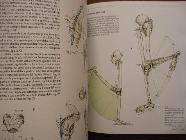 アート・デザイン・音楽 Struttura uomo in movimento