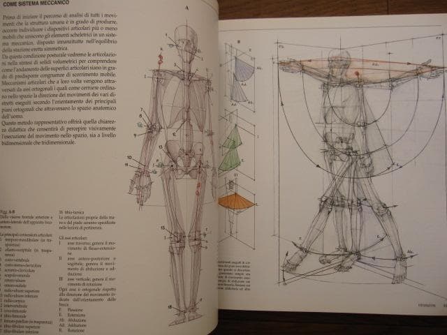 アート・デザイン・音楽 Struttura uomo in movimento