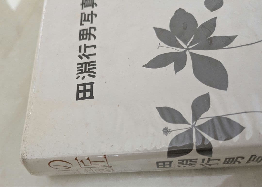 サイン入り 田淵行男 山の意匠 1971年