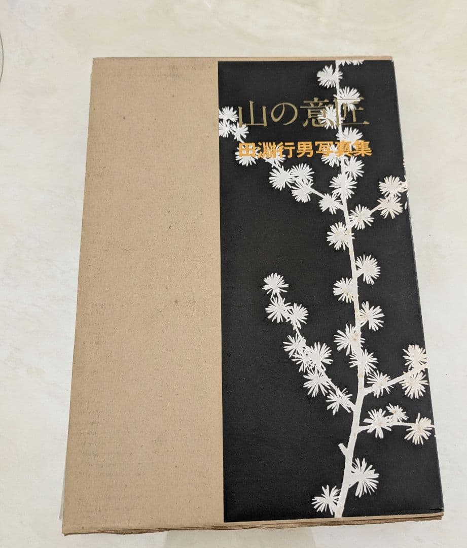 サイン入り 田淵行男 山の意匠 1971年