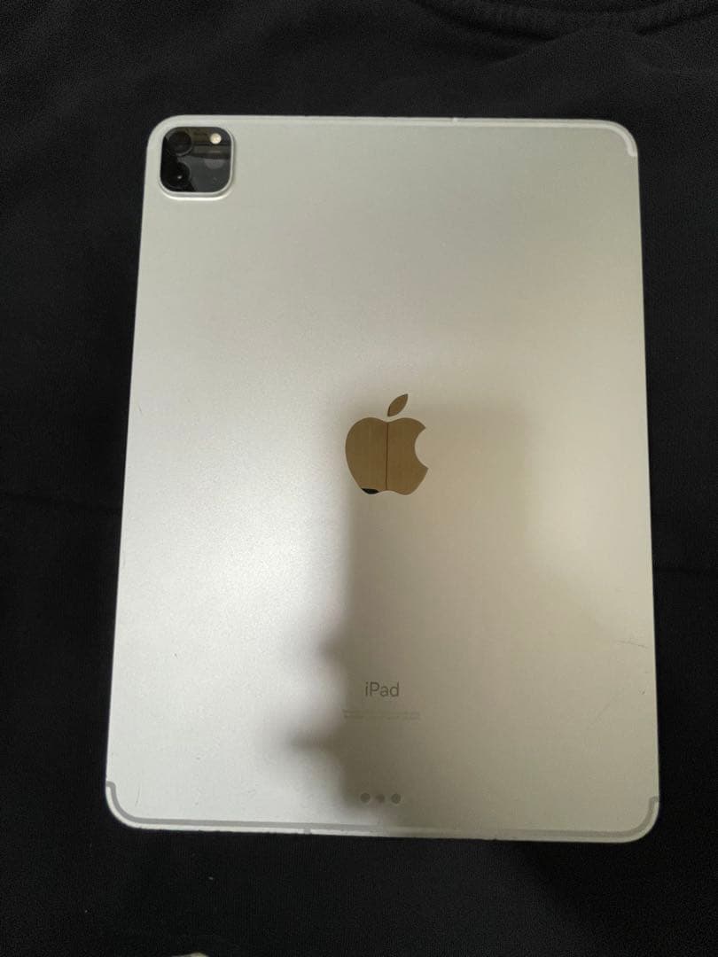 L*y様 ipad pro11 2世代　256GB セルラーモデル　完動品