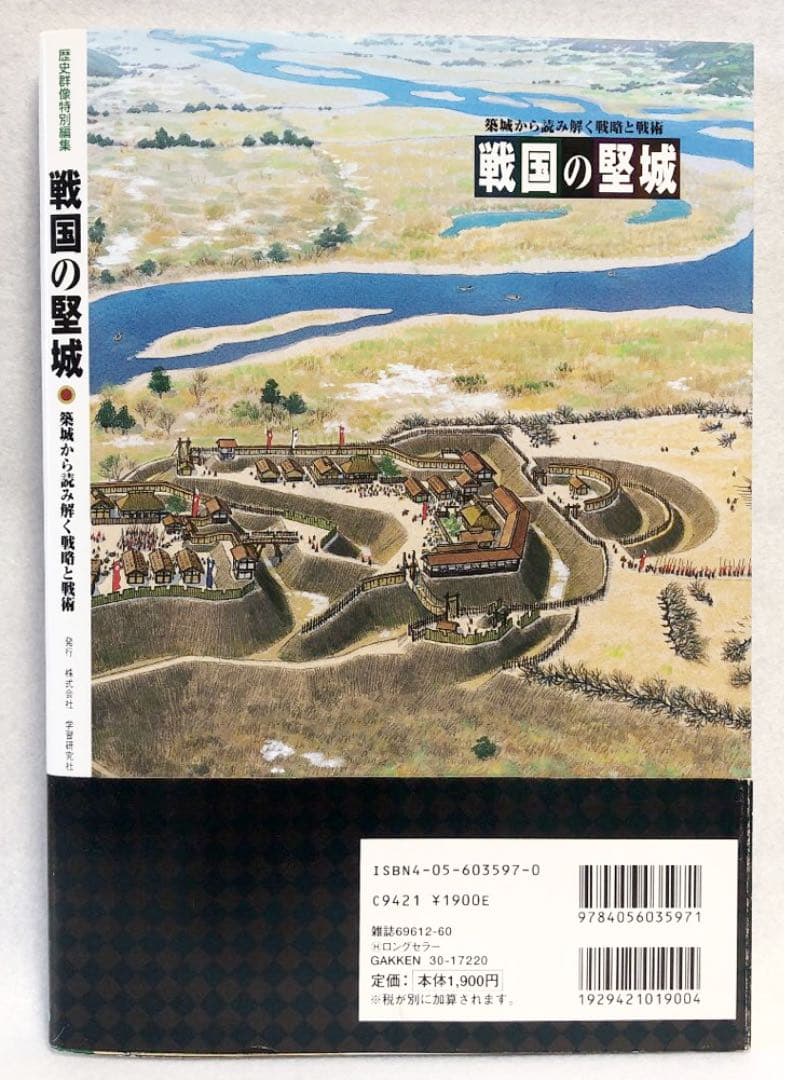 戦国の堅城(1)   (歴史群像シリーズ)