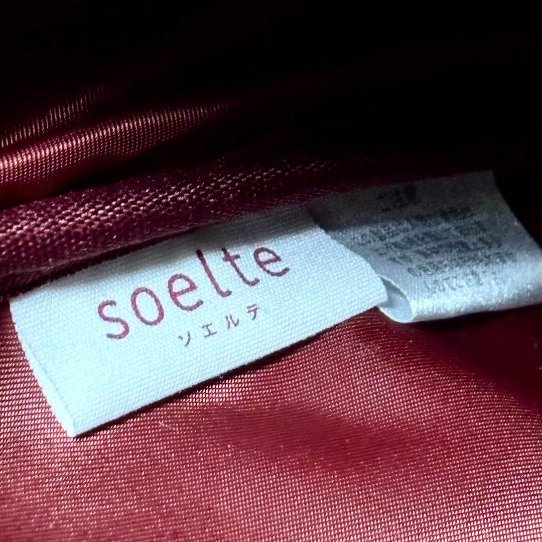 soelte ソエルテ マルメキャリー小 23L 4輪 保冷ACE 35982