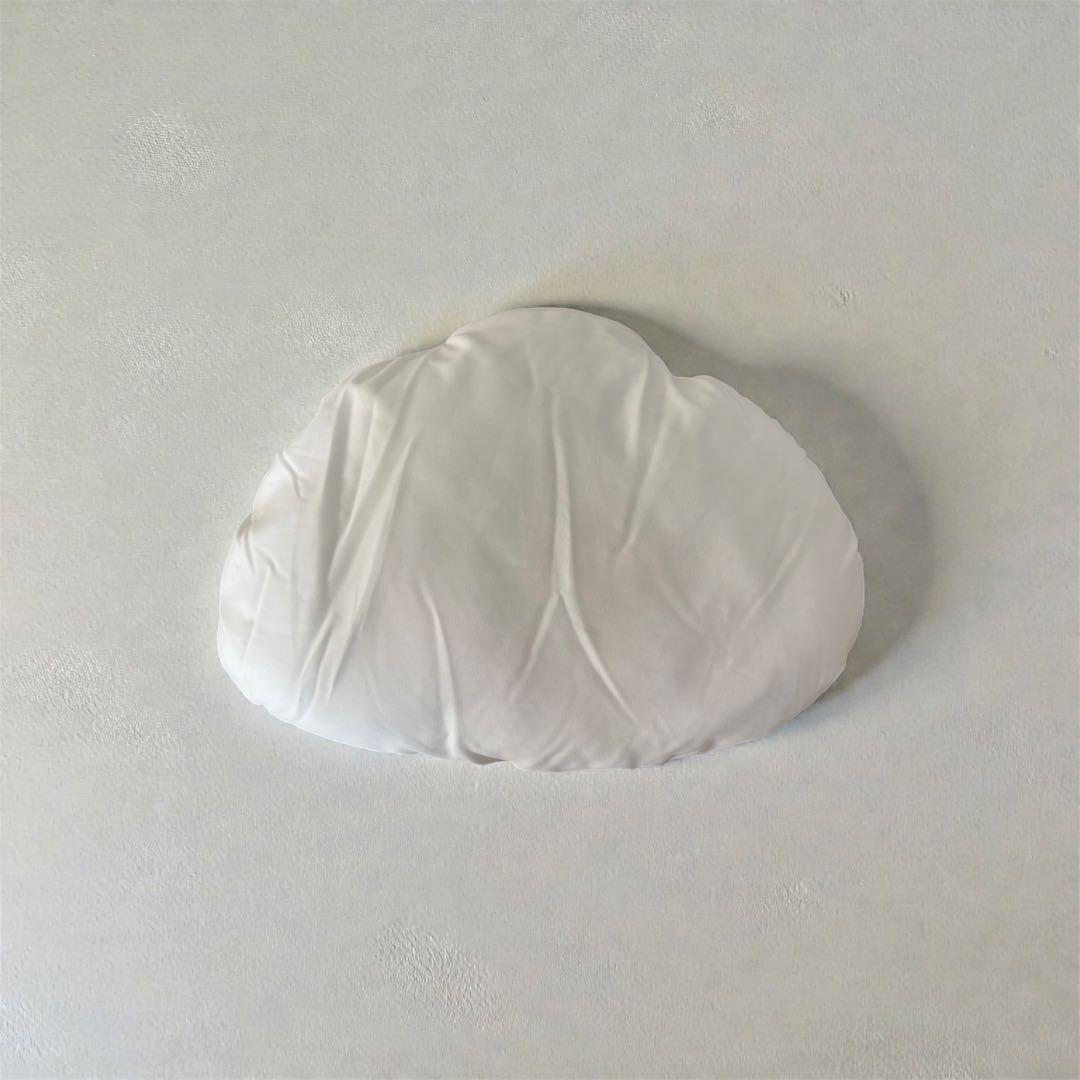 ユーニースリープ 安眠クッション +枕（未使用）＋カバー２枚＋説明書＋収納袋