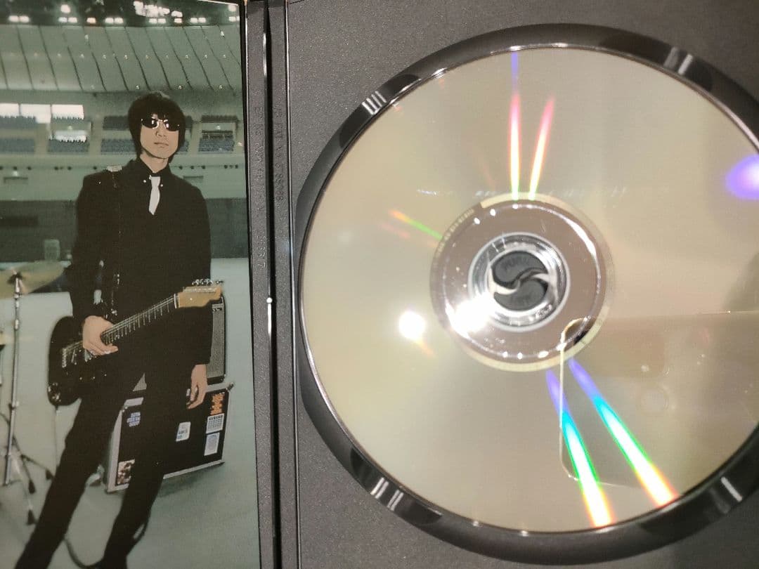 thee michelle gun elephant dvd　チバユウスケ