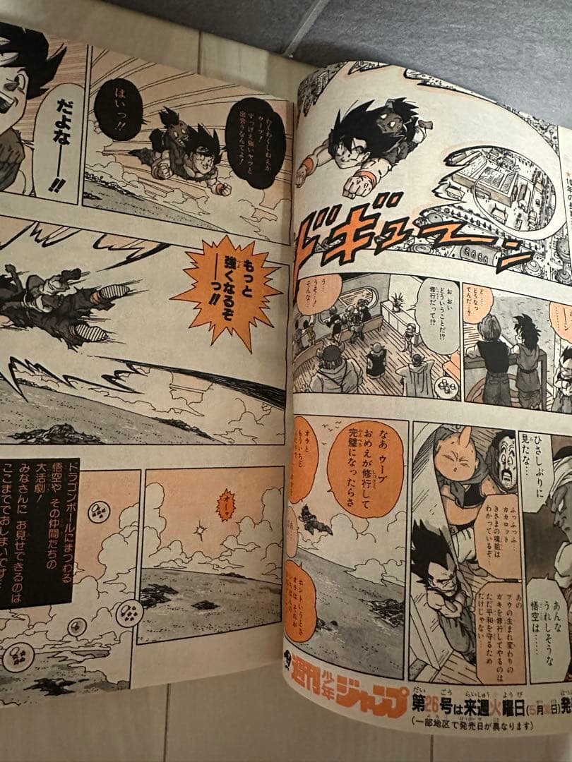 激レア雑誌 週刊少年ジャンプ 1995年25号　ドラゴンボール最終話掲載　美品
