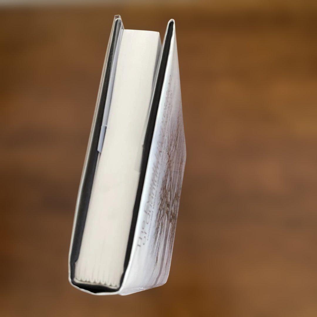 洋書 The Everett Interpretation of Quantum