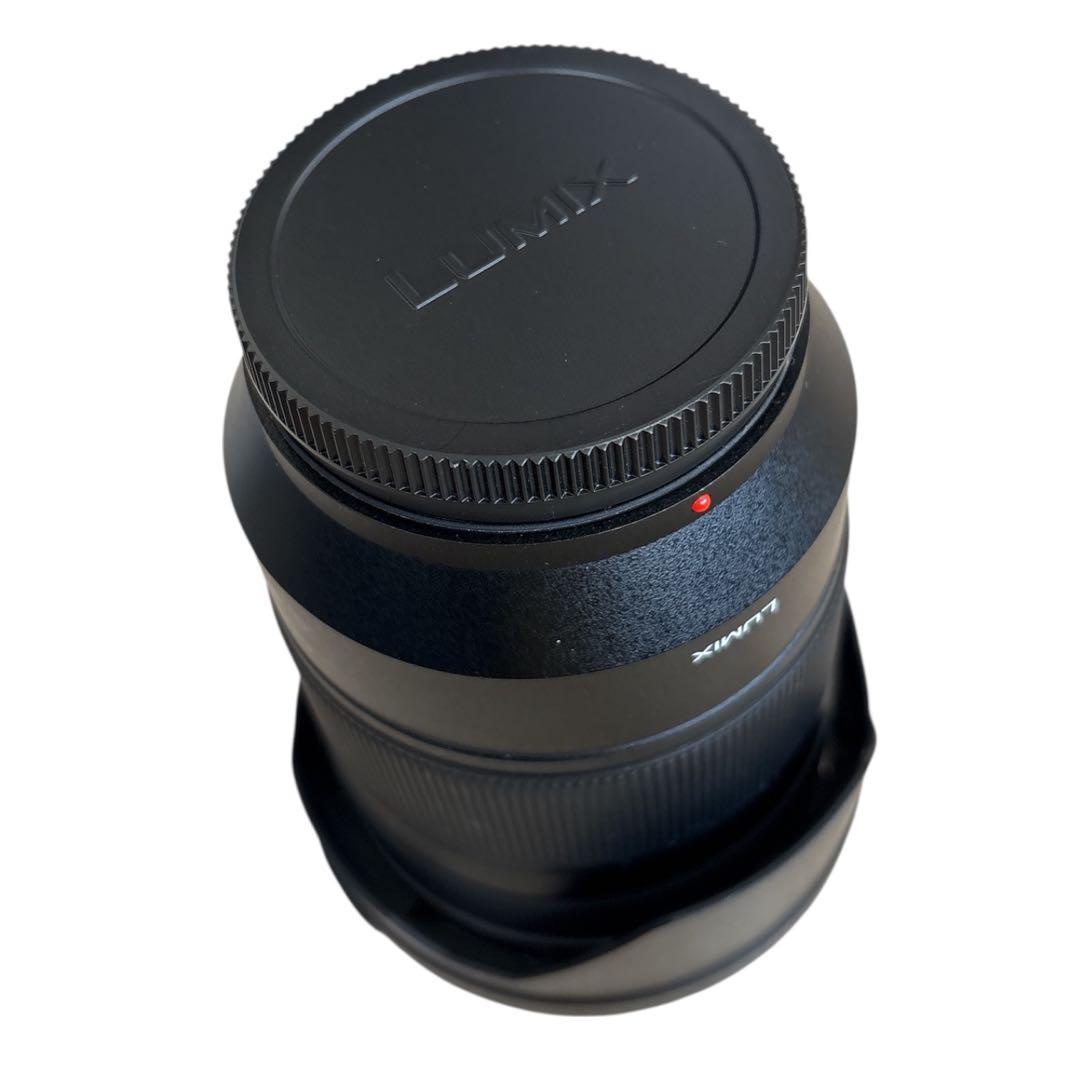 Panasonic LUMIX S 24-105mm F4 レンズ