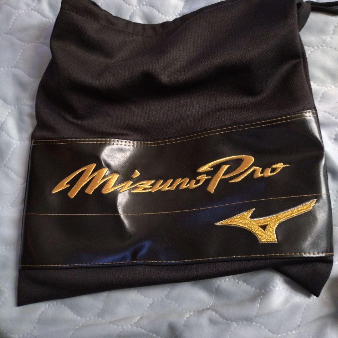 ミズノ プロモデル 硬式グローブ 右手用