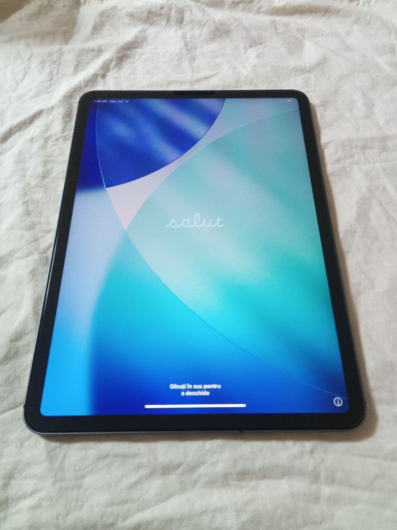 美品 iPad Pro11インチ 第1世代 バッテリー84%