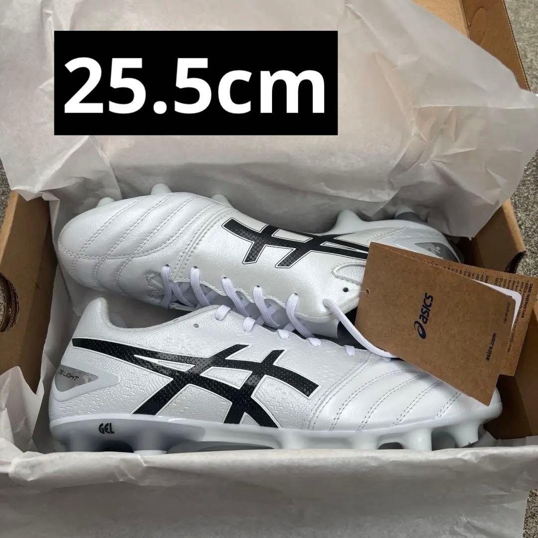 ASICS DSライト プロ