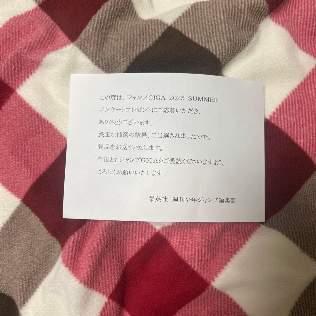 Nintendo Switch Lite イエロー 新品未使用