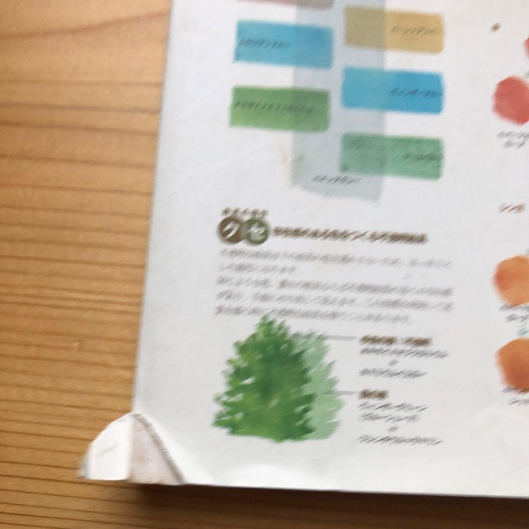 スケッチの色彩