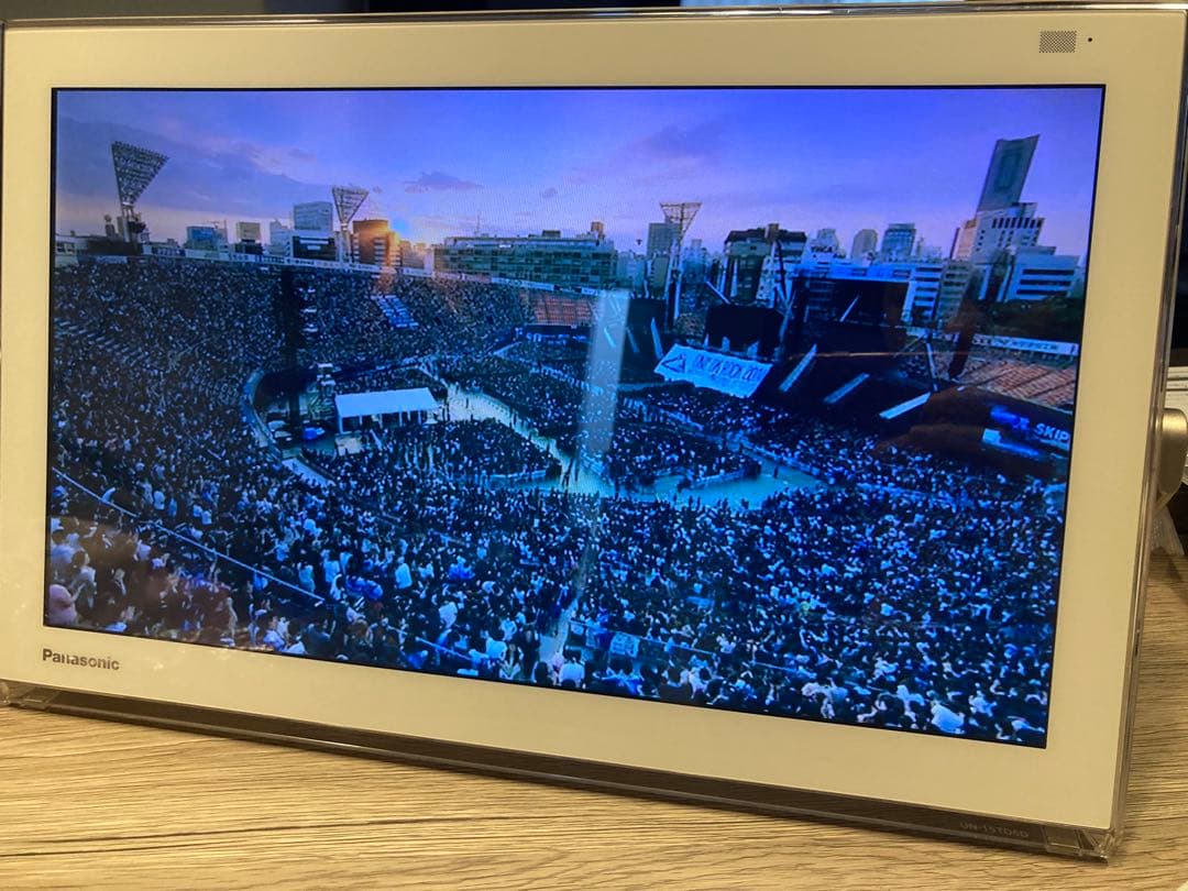 パナソニック　Panasonic　プライベートビエラVIERA UN15TD6