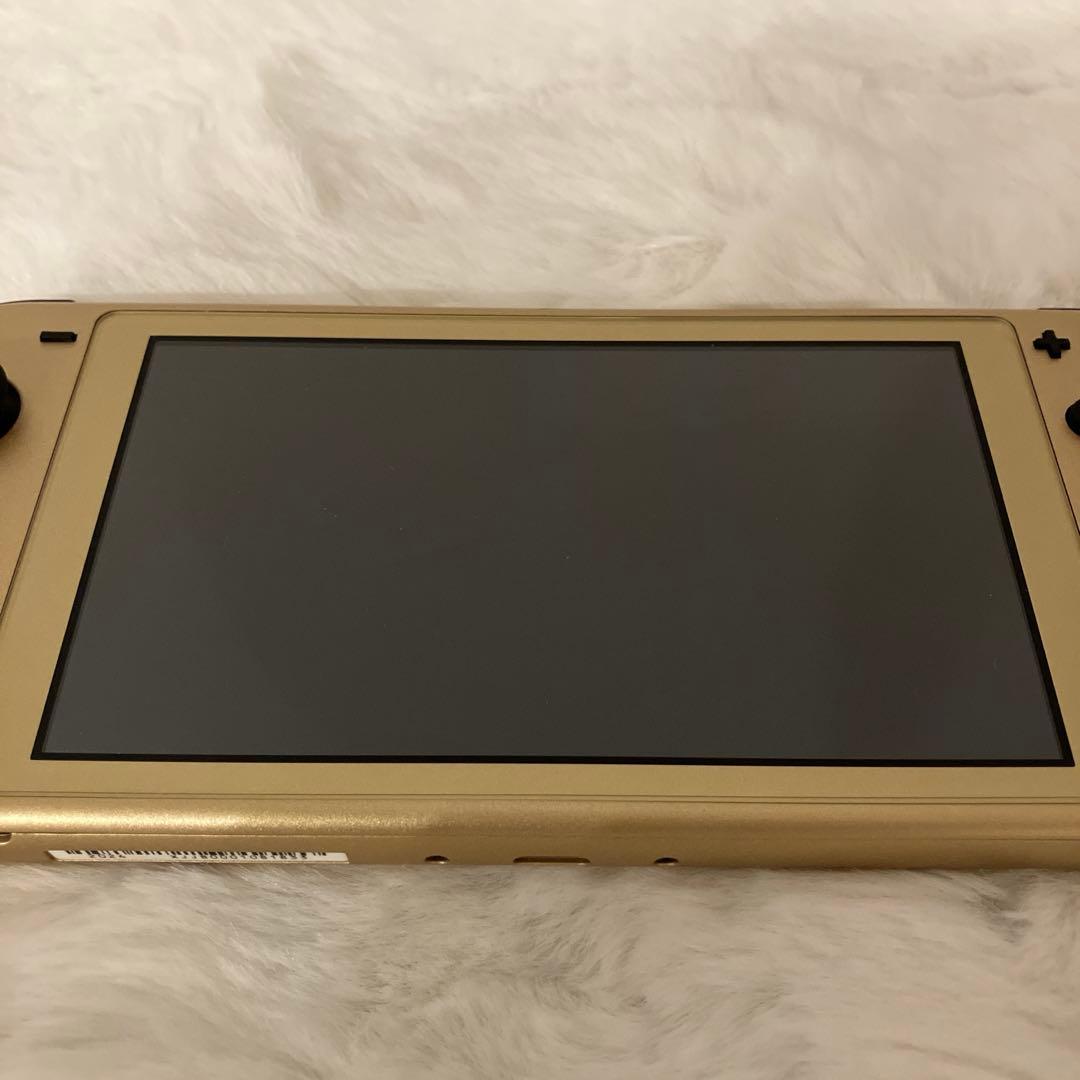 Nintendo Switch Lite ハイラルver. ケース付