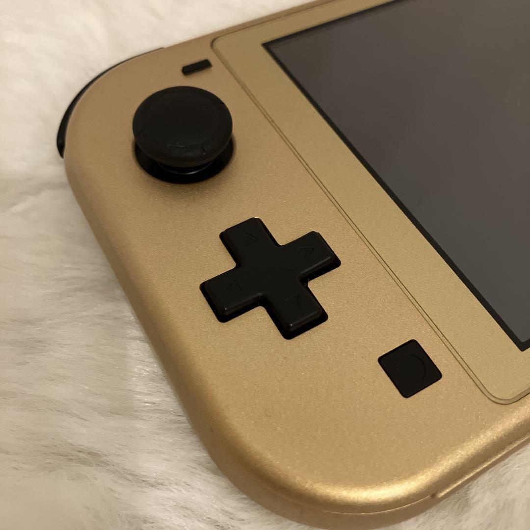 Nintendo Switch Lite ハイラルver. ケース付