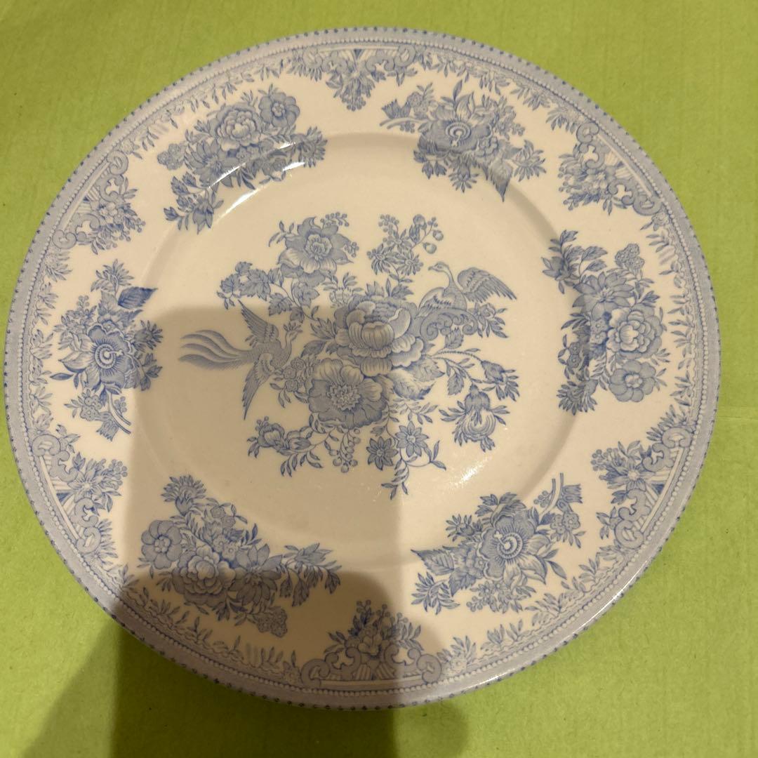 専用　バーレイ　アジアティックフェザンツ　４枚22センチ