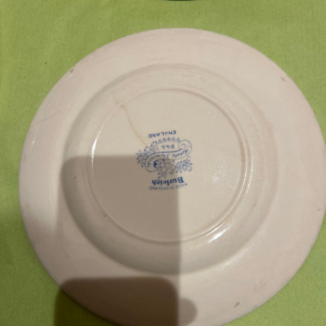 専用　バーレイ　アジアティックフェザンツ　４枚22センチ