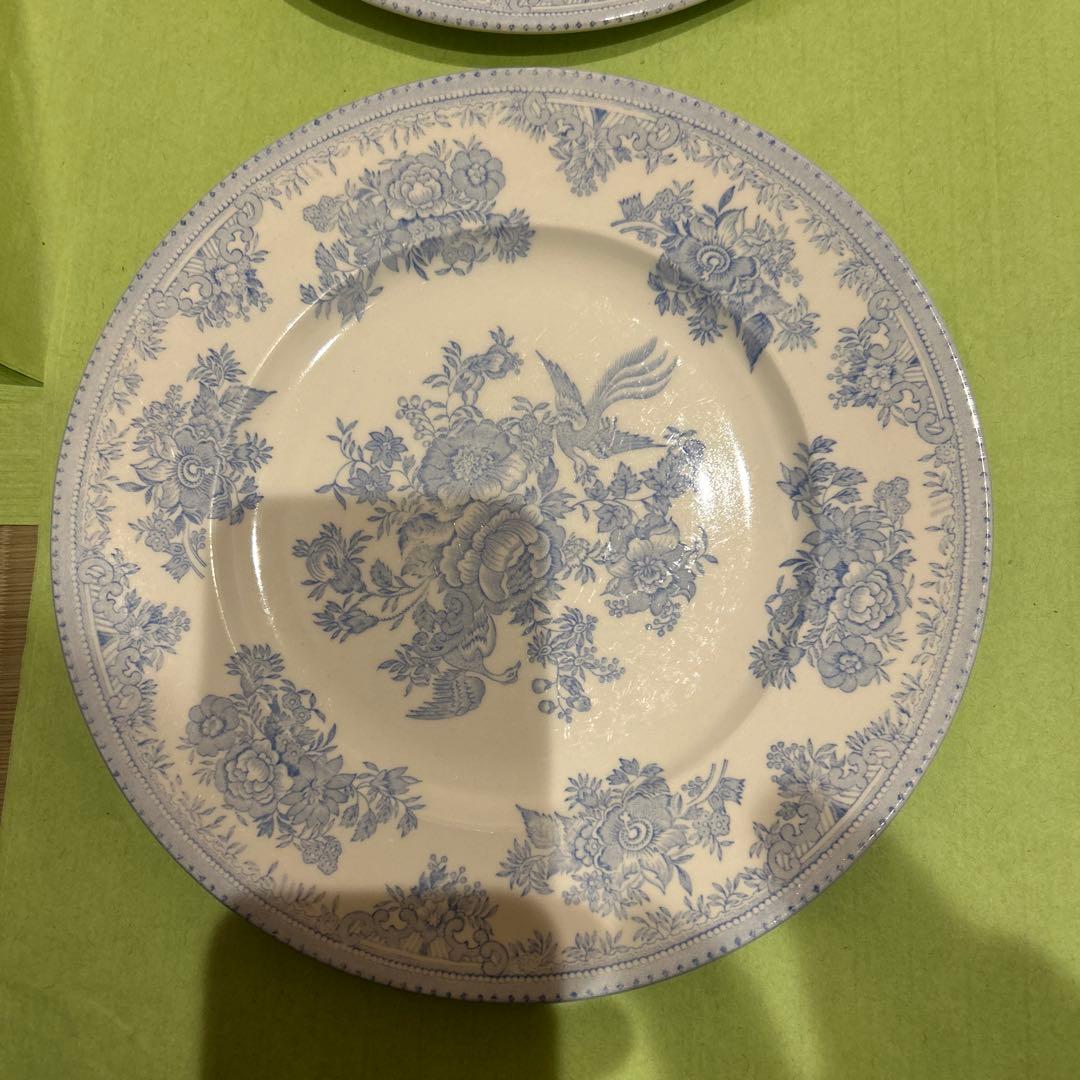 専用　バーレイ　アジアティックフェザンツ　４枚22センチ