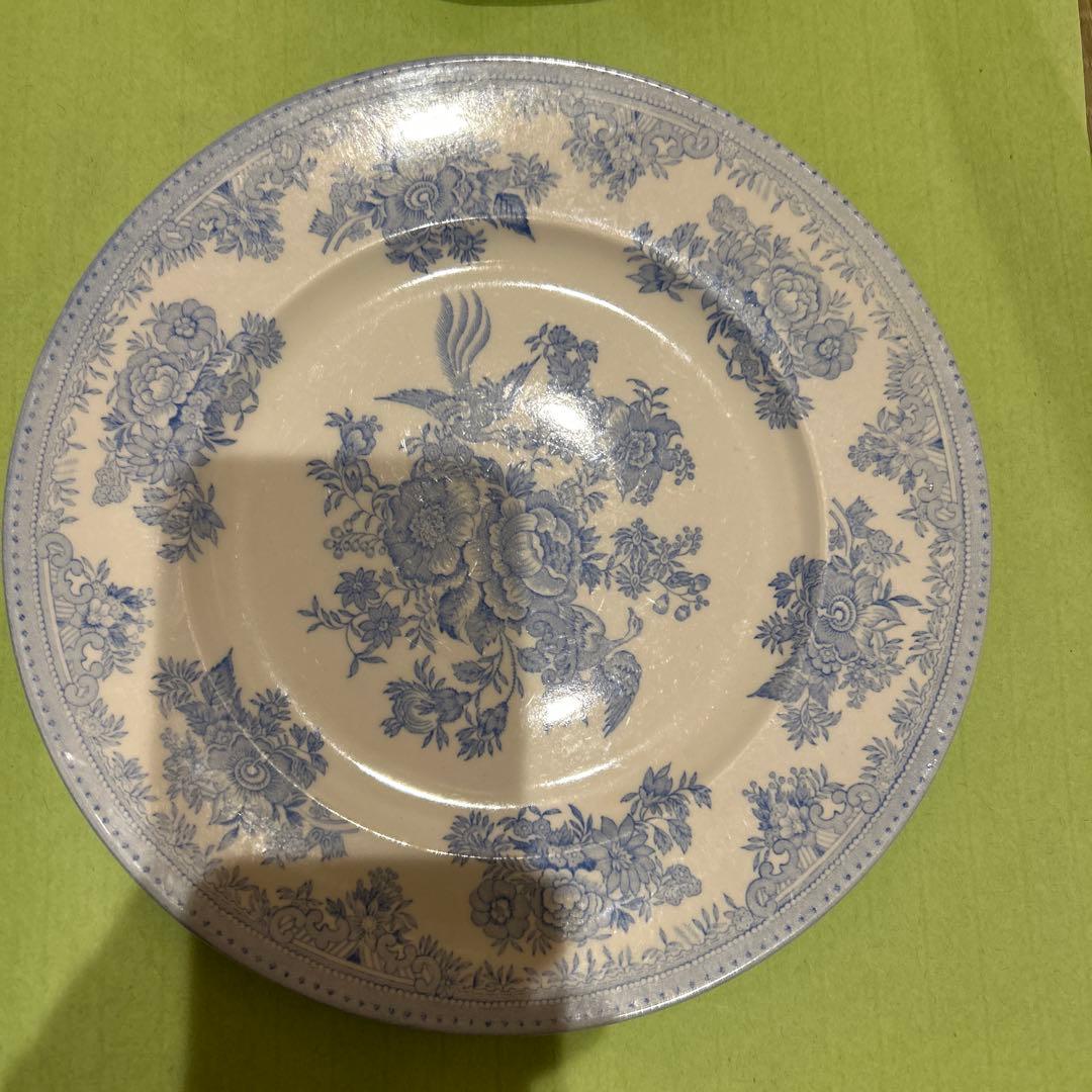 専用　バーレイ　アジアティックフェザンツ　４枚22センチ