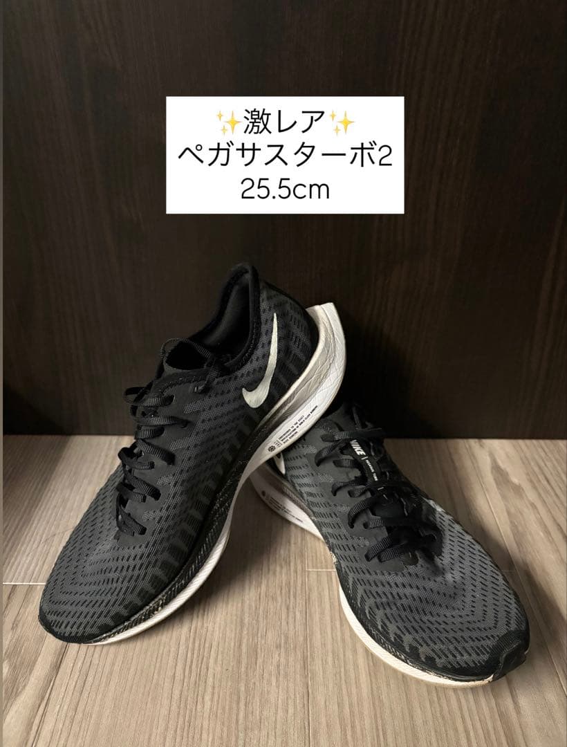 Nike ペガサスターボ2 25.5cm