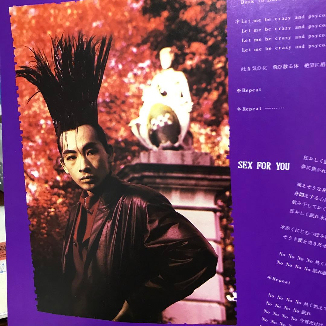 ピクチャー付き　BUCK-TICK TABOO LPレコード