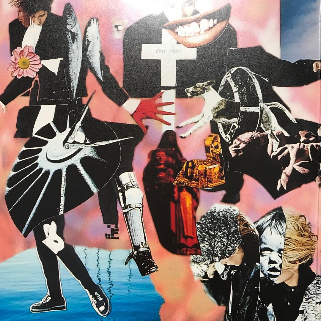 ピクチャー付き　BUCK-TICK TABOO LPレコード