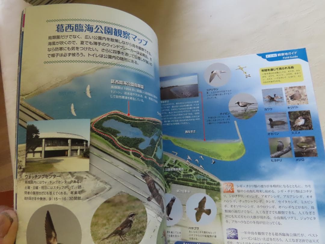 週刊野鳥の世界全121巻揃い　ティアゴスティニ発行　定価70180円 美品