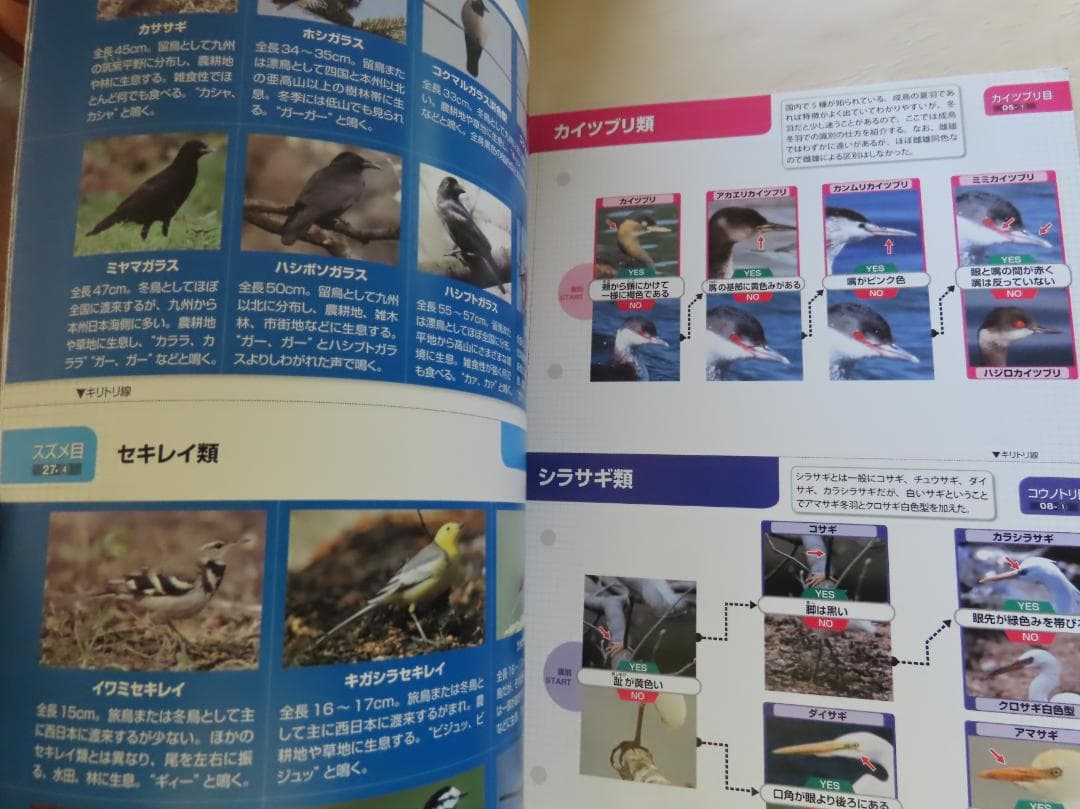 週刊野鳥の世界全121巻揃い　ティアゴスティニ発行　定価70180円 美品