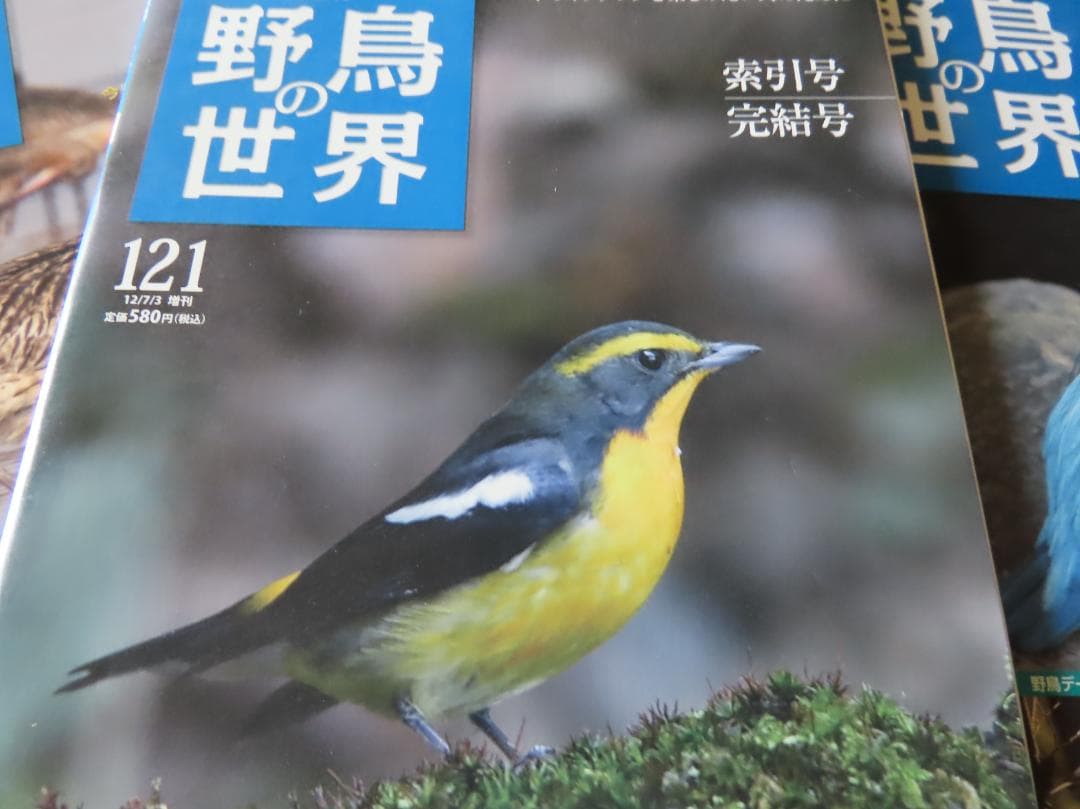 週刊野鳥の世界全121巻揃い　ティアゴスティニ発行　定価70180円 美品