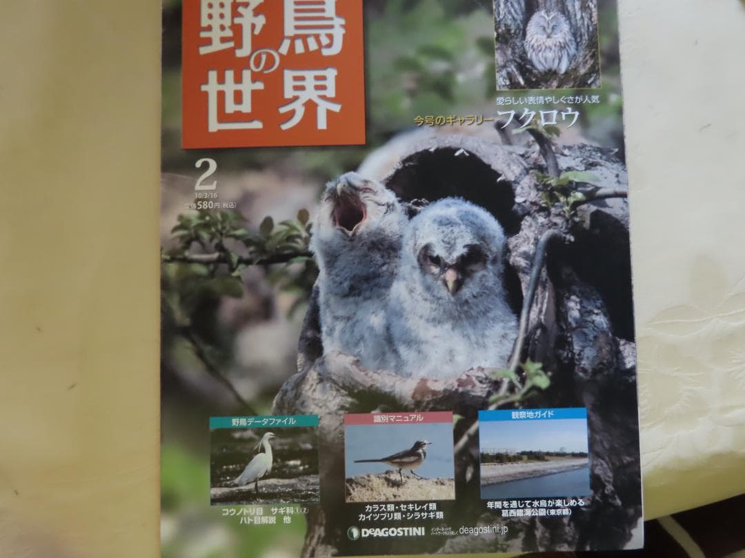週刊野鳥の世界全121巻揃い　ティアゴスティニ発行　定価70180円 美品