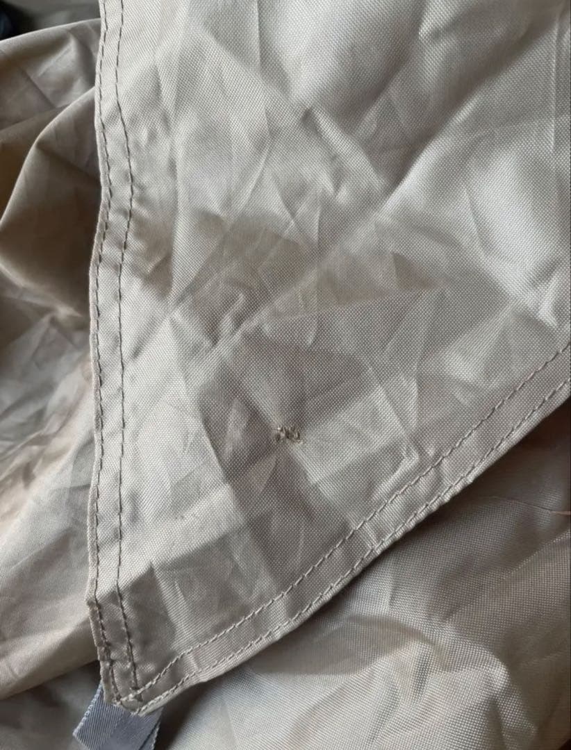 サバティカル　アルニカ