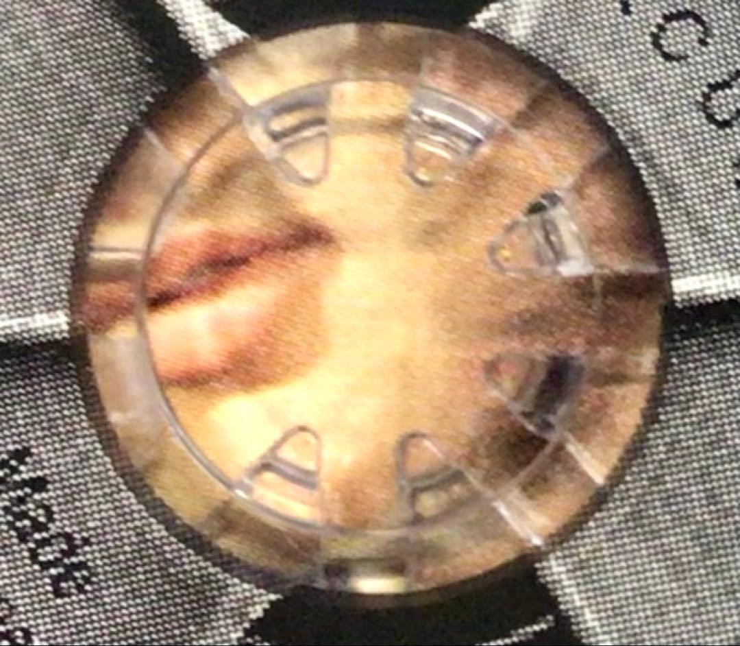 BOX欠品 ELVIS PRESLEY CELLULOID ROCK CDセット