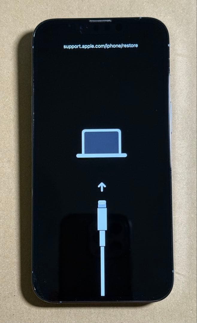 ジャンク Apple iPhone 13 Pro シエラブルー 本体