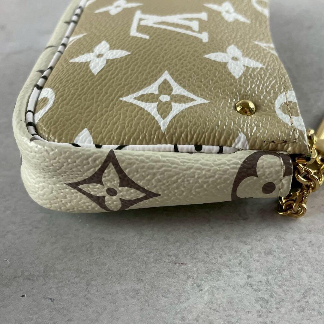 【極美品】ルイヴィトン ケース ポーチ モノグラム 金具